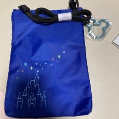 ディズニーバケーションパッケージ グッズの画像