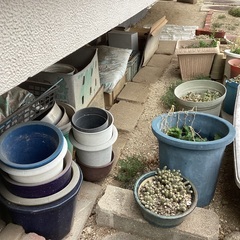 鉢植え　　植木鉢　　　ブロックの画像