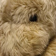 (美品)特大 クマのぬいぐるみの画像