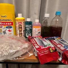 メダカ飼育セットの画像