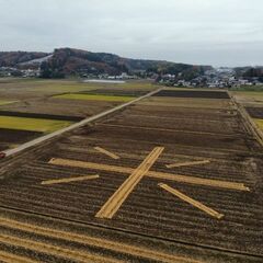 栃木の米農家です。お米のご相談ありますか？
