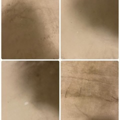 【お取引中】ラグ　220×320の画像