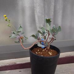 明日コーナン港北インター店