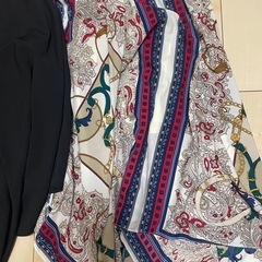 ジーナシス　スカートの画像