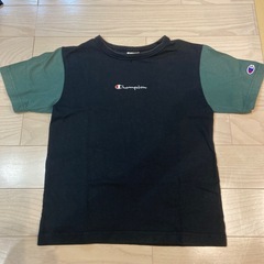 サイズ140 いぬとチャンピオンTシャツの画像
