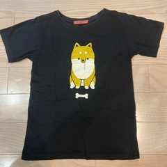 サイズ140 いぬとチャンピオンTシャツの画像