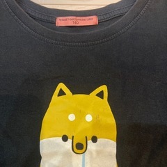 サイズ140 いぬとチャンピオンTシャツの画像