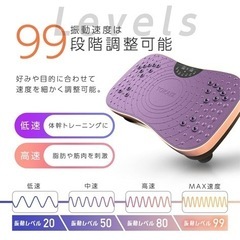 TOKAIZ 振動マシン シェイカー式 5モード 99段階調整 TV1-001sの画像