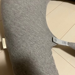 サンデシカ抱き枕 の画像