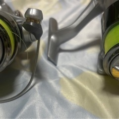 spin REGAD PRO MARINEリールRG-200 2個セット 釣具 川釣り 海釣り 琵琶湖 匿名配送 の画像