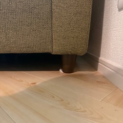【破れ無】ソファ 2人掛けの画像