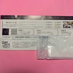 無料乗船券　神戸クルーズ　コンチェルト　ルミナス神戸2②の画像