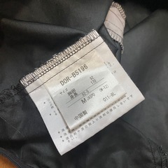 DESCENTE ピステMサイズの画像