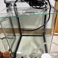 水槽　メダカ　2個と諸々の備品の画像