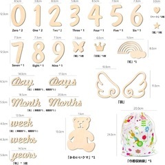 月齢フォト 天然木製 30枚セットの画像