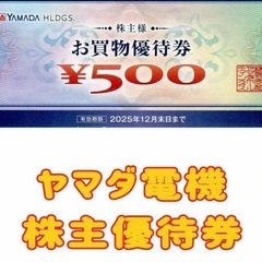 ヤマダ電機 株主優待券