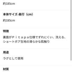 ズレにくい洗えるラグ2点セット カインズ ＆ペットの画像