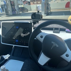 2021年式　TESLA  テスラ　モデル3の画像