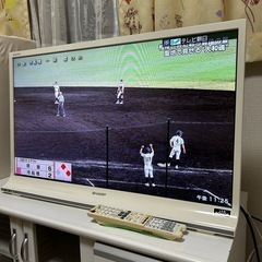 テレビの画像