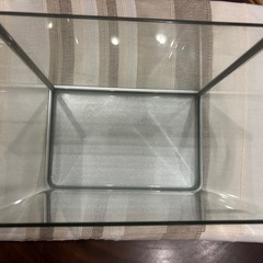 【テトラ】30cm曲げガラス水槽の画像