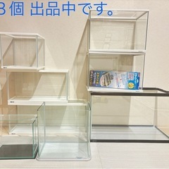 【テトラ】30cm曲げガラス水槽の画像