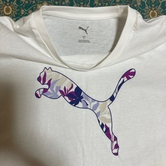 〈値札タグ付き〉PUMA Tシャツ、（おまけ）RALPH LAUREN Tシャツ、ベルト2個の画像