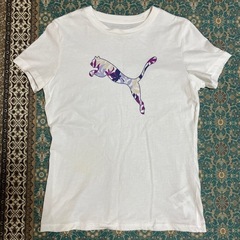 〈値札タグ付き〉PUMA Tシャツ、（おまけ）RALPH LAUREN Tシャツ、ベルト2個の画像
