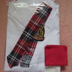ハロウィンJK 長袖 AKB風の画像
