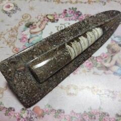 オルソセラス🔹化石 A-1 天然石 健康 長寿の画像