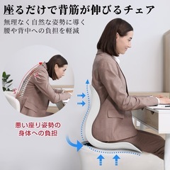 姿勢矯正チェア 整体師推奨 骨盤サポート 猫背改善 腰痛対策 軽量の画像