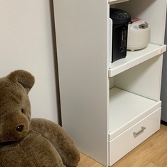 　クマの、ぬいぐるみです！の画像