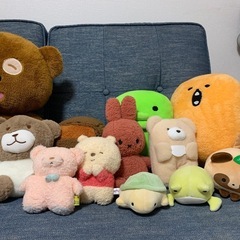 　ぬいぐるみの画像