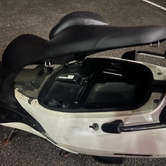 MF06 フォルツァ　早い者勝ち‼️の画像