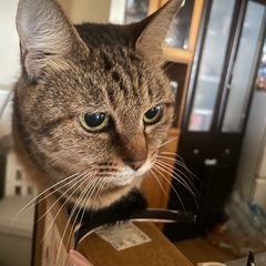 お願いします