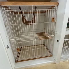 リラックスキャットサークルの画像