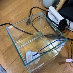 アヴェニファーと水槽、維持用品全部の画像