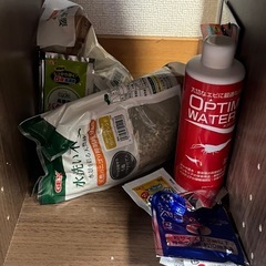 アヴェニファーと水槽、維持用品全部の画像