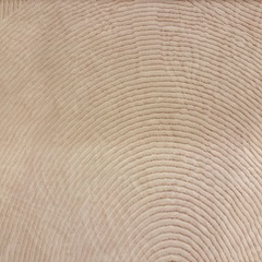 ベージュ　カーペット　180x200cm の画像