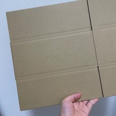 高品質 60サイズ ダンボール 1枚〜 広告入りB5サイズ
の画像