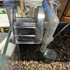 熱帯魚用水槽(熱帯魚付き)の画像