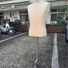 トルソー（男性タイプ）の画像