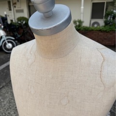 トルソー（男性タイプ）の画像