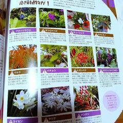 【秋】保育雑誌　プリプリ、ピコロ、ラッタなどの画像