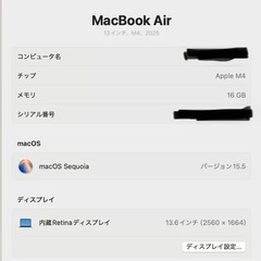 MacBook Air/13インチ/M4/16GB/256GB/スカイブルーの画像