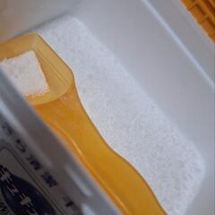 食洗機用洗剤の画像