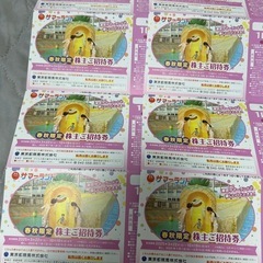 東京サマーランド 1DAYパス フリーパス 1枚2800円 複数枚あり　プール遊園地の画像