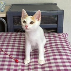 甘えん坊の男の子