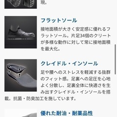 2足で5000円少し滑ってキュって止まる耐滑性抜群安全靴ws11 の画像