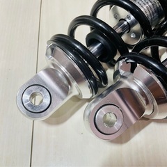 モンキー　ゴリラ　シャリー　ダックスの画像