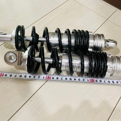 モンキー　ゴリラ　シャリー　ダックスの画像